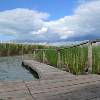 Horgász webáruház - Tisza-tavi horgászhírek - eurostar.hu