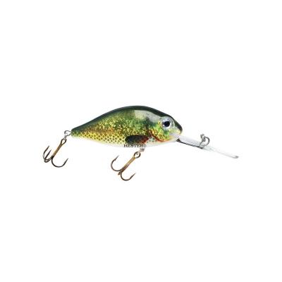 HESTER POLISH PERCH DIVER 9CM 21GR 3,0-4,9M 517